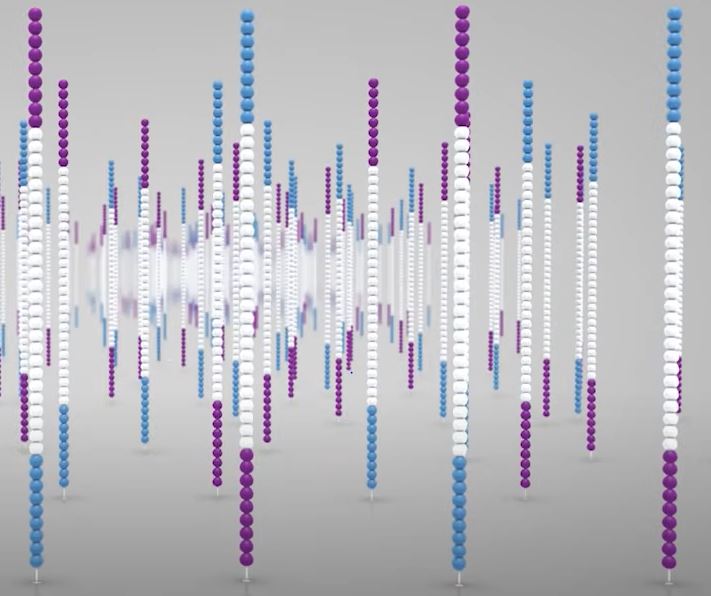 this amplification process will be repeated