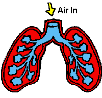 gif breathing in & out