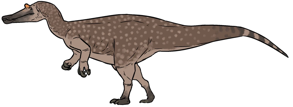 Baryonyx walkeri