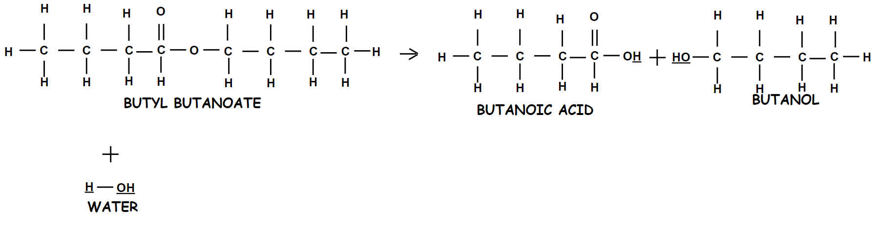 Butyl Butanoate + Water  --> Butanoic Acid + Butanol