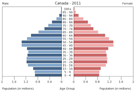 Demography Vocabulary