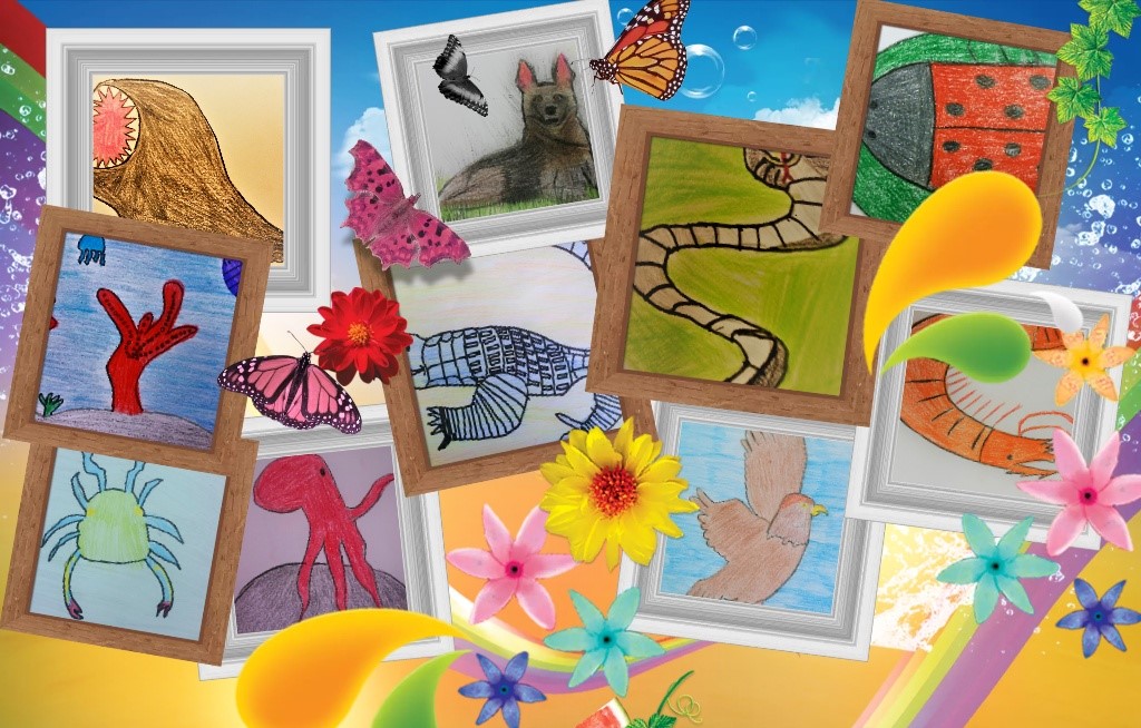 GLI ANIMALI              CLASSE 4^G