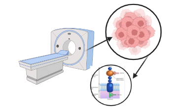 PET scan performed to check PSMA+ for Pluvicto eligibility