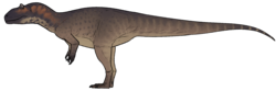 Saurophaganax maximus