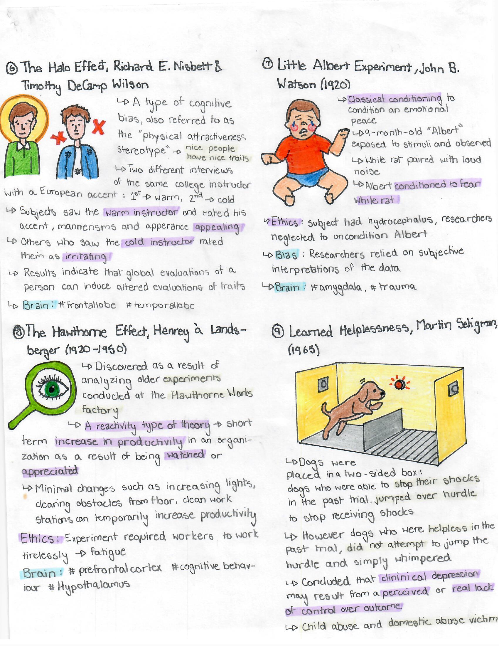 The Halo Effect, The Little Albert Experiment, The Hawthorne Effect, Learned Helplessness