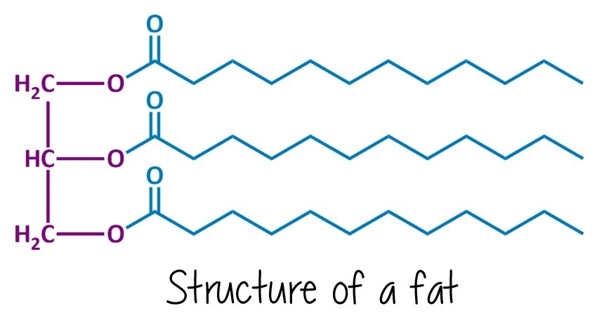 Lipids in fat foods