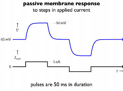 current voltage relations