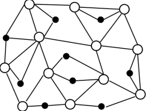 Distributed Network