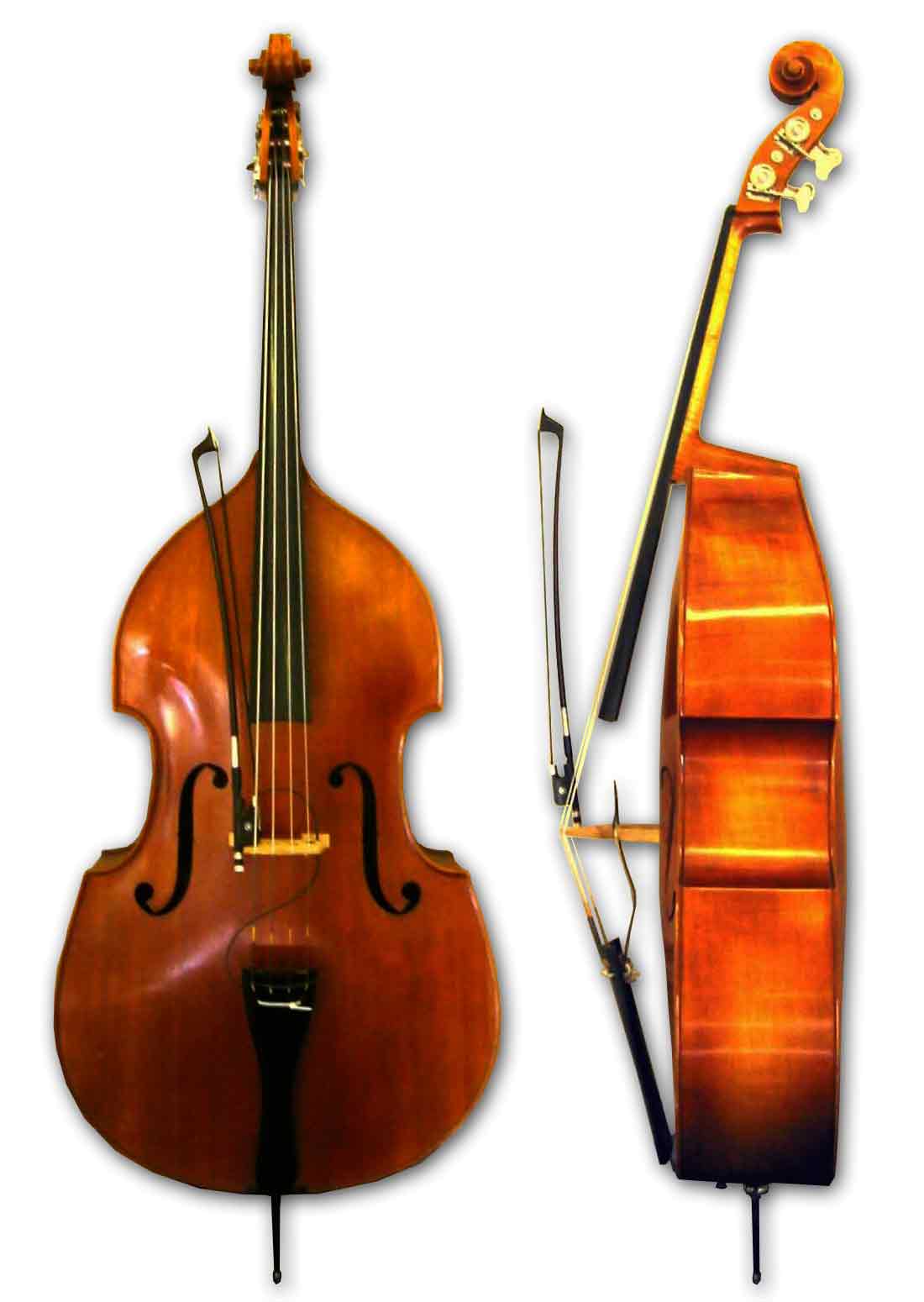 String bass