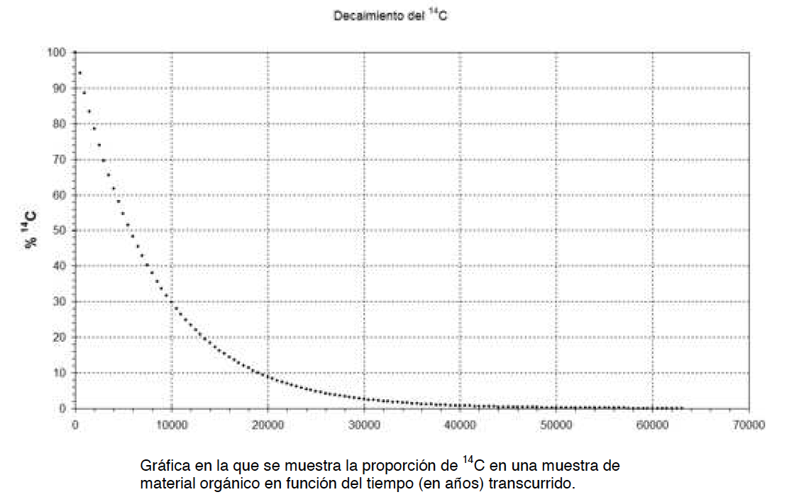 Decaimiento del C-14