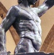 La muscolatura è visibile ed accentuata