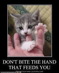 "Don't bite the hand that feeds you."

If someone's paying you or helping you out, you have to be careful not to make them an