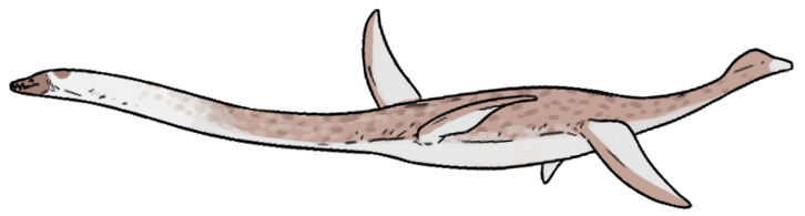 Microcleidus homalospondylus