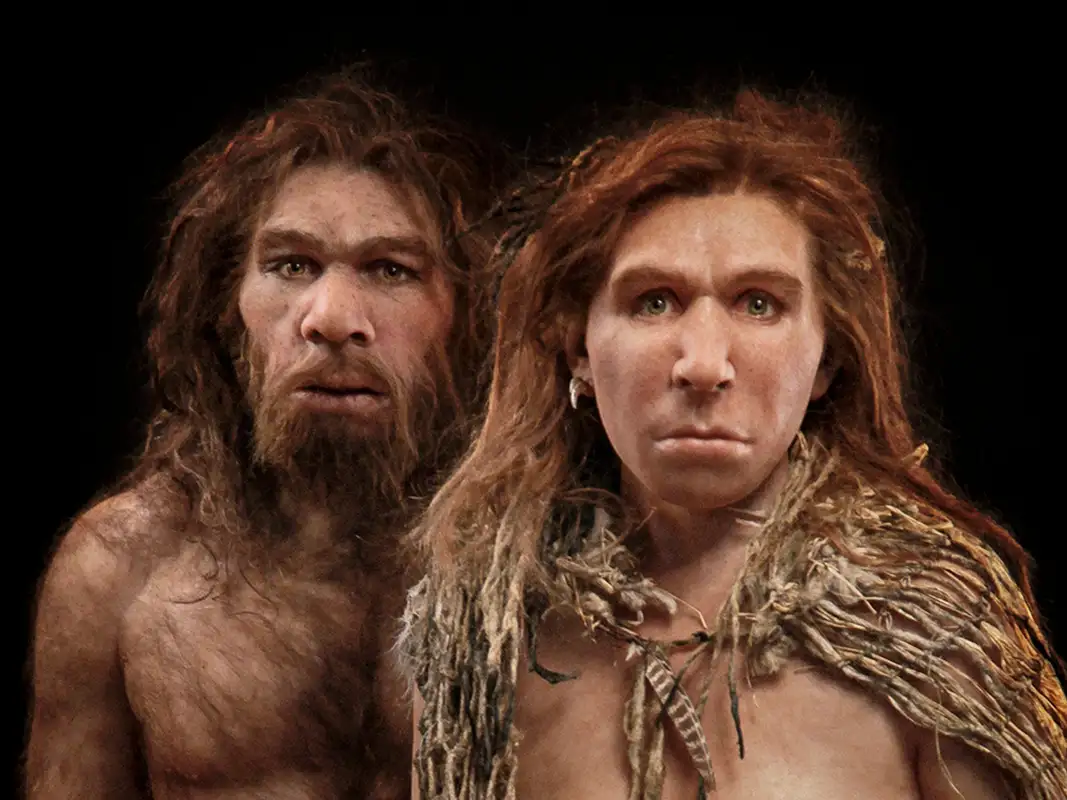 Neanderthal 
A relative/species to modern day humans