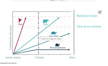 Los programas poblacionales contribuyen, de forma desproporcionada, a incrementar el sobrediagnóstico del cáncer, aumentando 