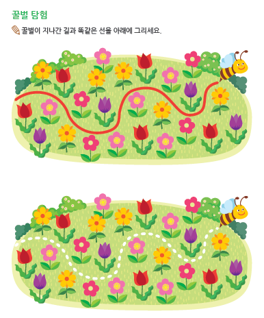 (누리-수) 꿀벌 탐험