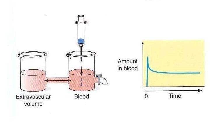 Distribution