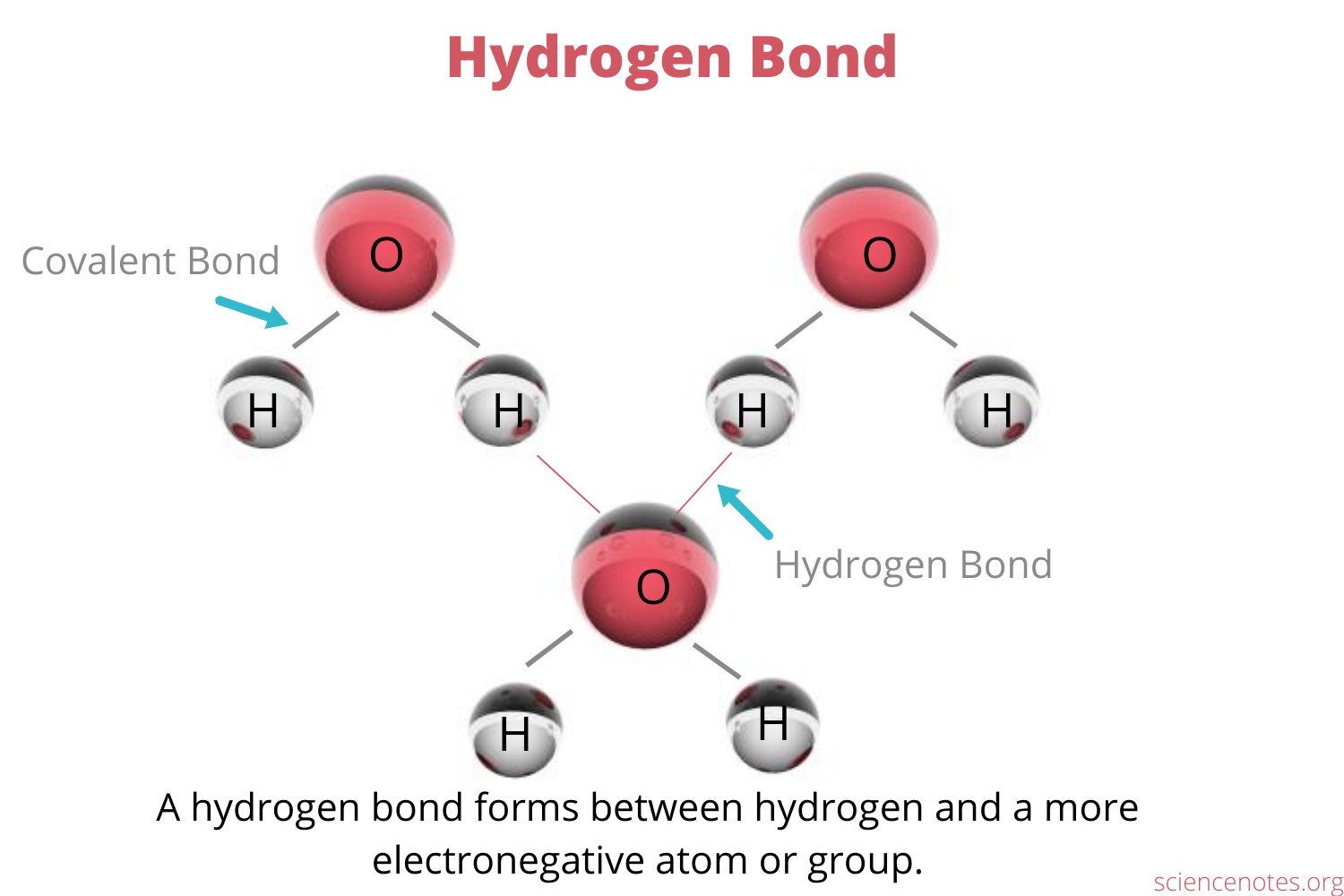 HYDROGEN BONDING