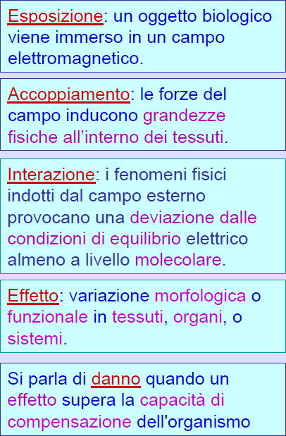 EFFETTO BIOLOGICO VS DANNO