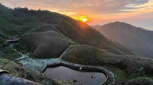 樹林解除冰封