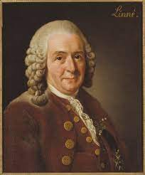 An example of a taxonomist is The father of taxonomy (Carl Linnaeus). He was the first person to formulate the taxonomy chart