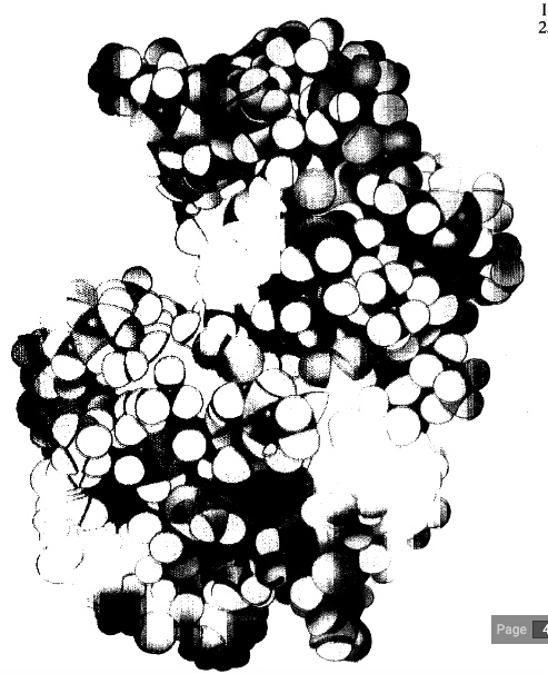 moleculas orgánicas
