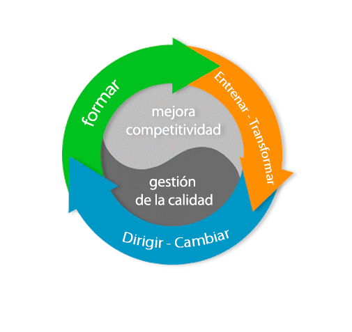 Resiliencia Empresarial