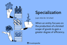 Specialization focuses on a few products to be more efficient in selling and creating them. An example would be Mexican avoca