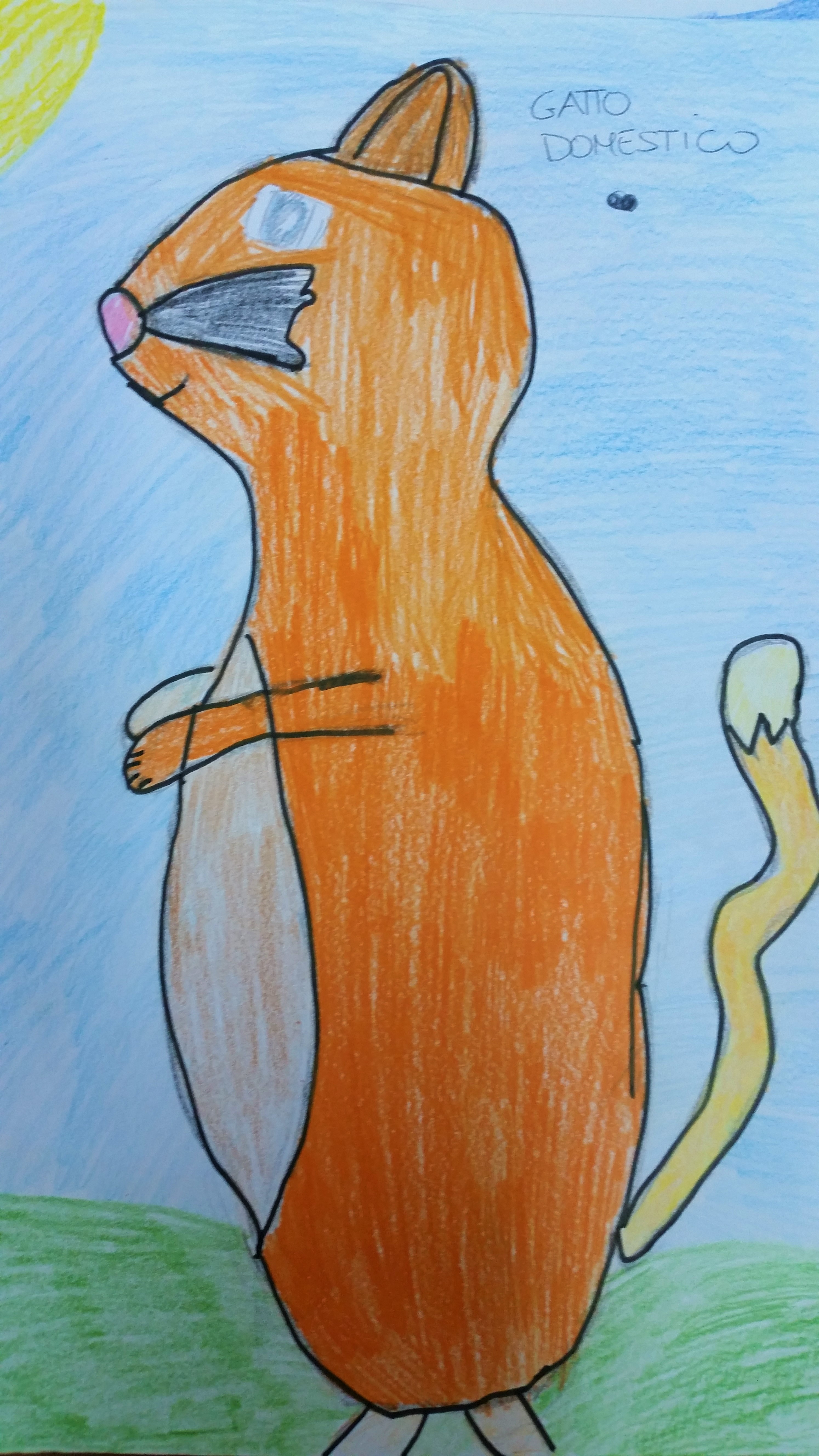 GATTO