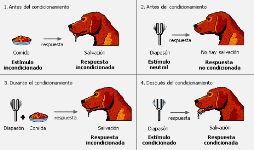 Los perros de Pavlov