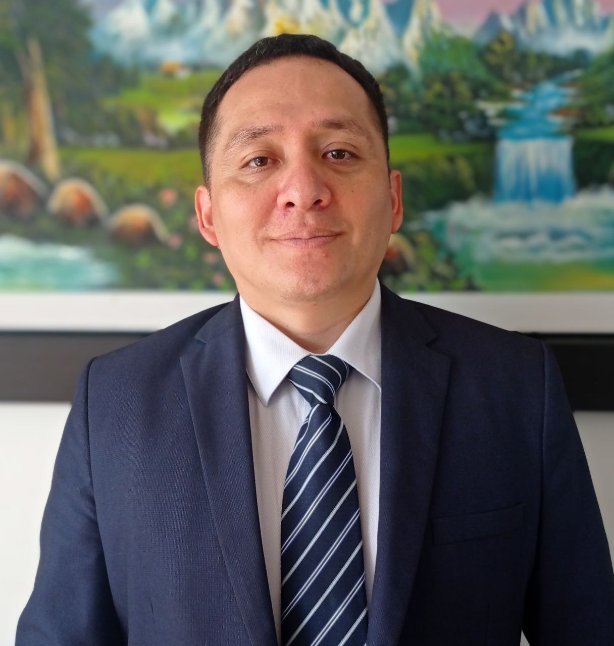 Brucy Grey Paredes Espinoza
Abogado - UNMSM