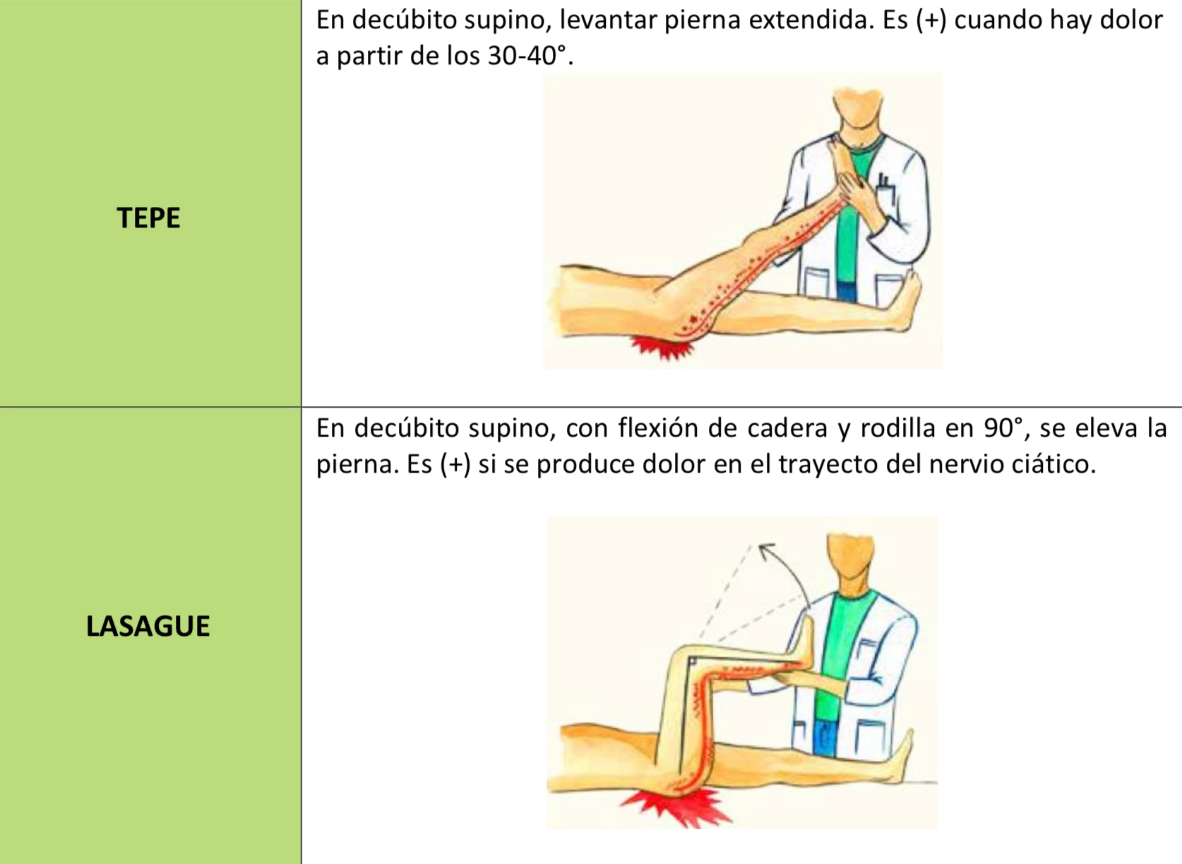 TEPE / LASAGUE