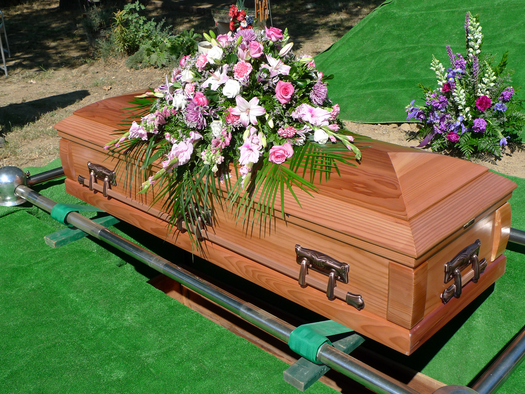 • In this story, the erasure of the grandmother's dying wish to be buried in a tree represents the loss of Indigenous cultura
