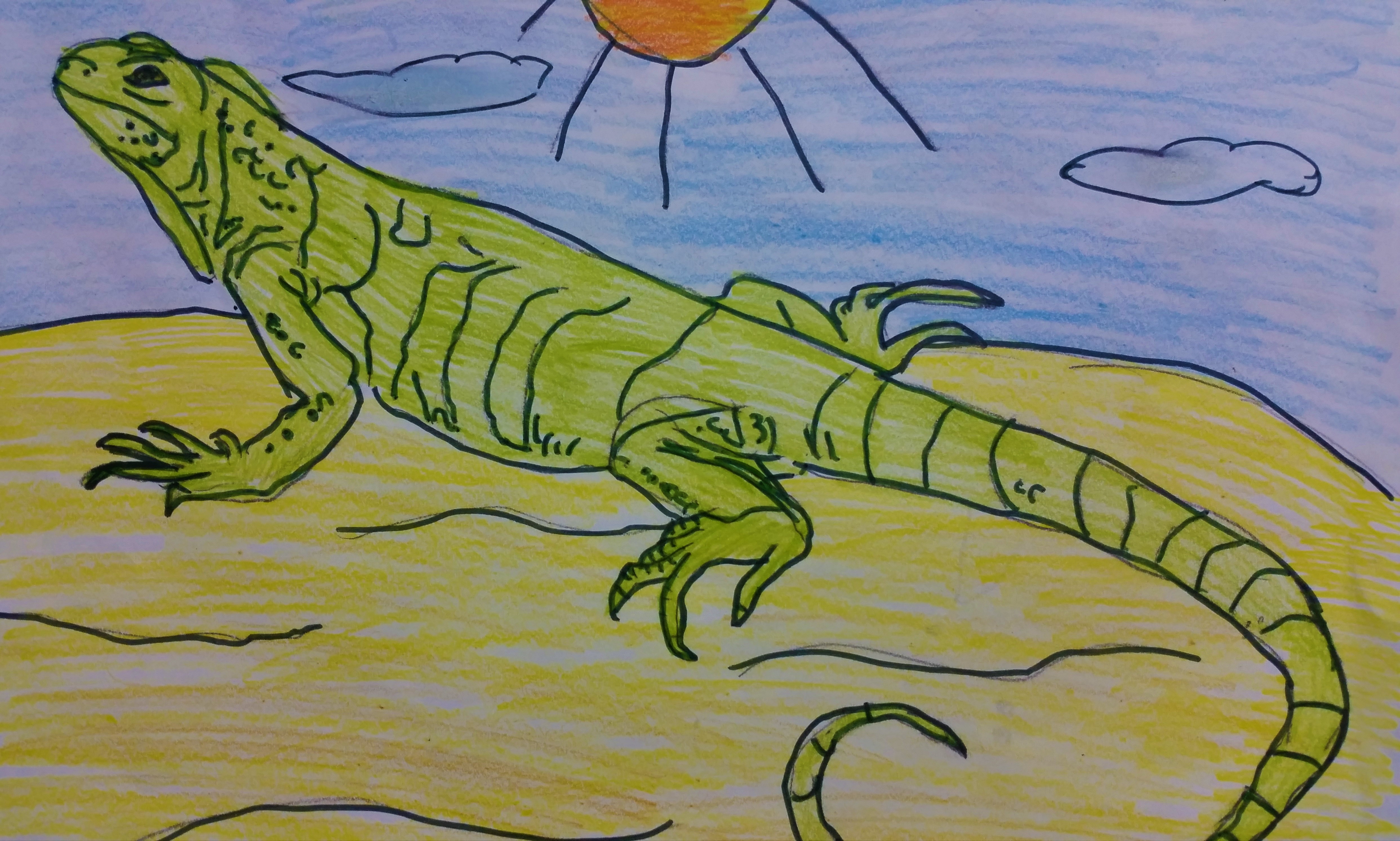 IGUANA