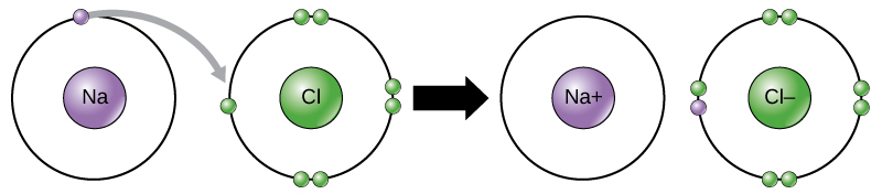 When a metal ion and non-metal ion  come together 
to form an ionic bond. The metal will give its
electrons to the non metal.