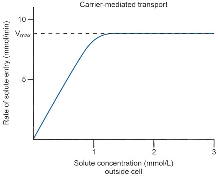 Facilitated Diffusion