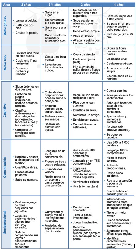 Control preescolar 2 a 5 años (médico o enfermero/a)

- Iniciar control de la presión arterial
- Ir logrando la independencia