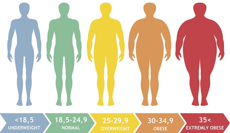 Obesity