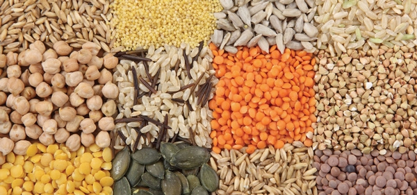Raw materials/ ingredients