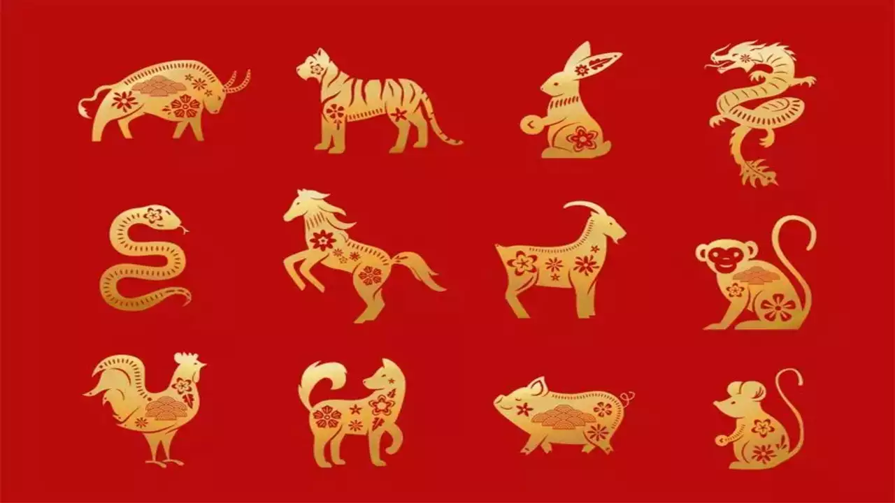 les douze zodiacs