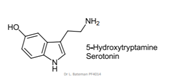 Serotonin