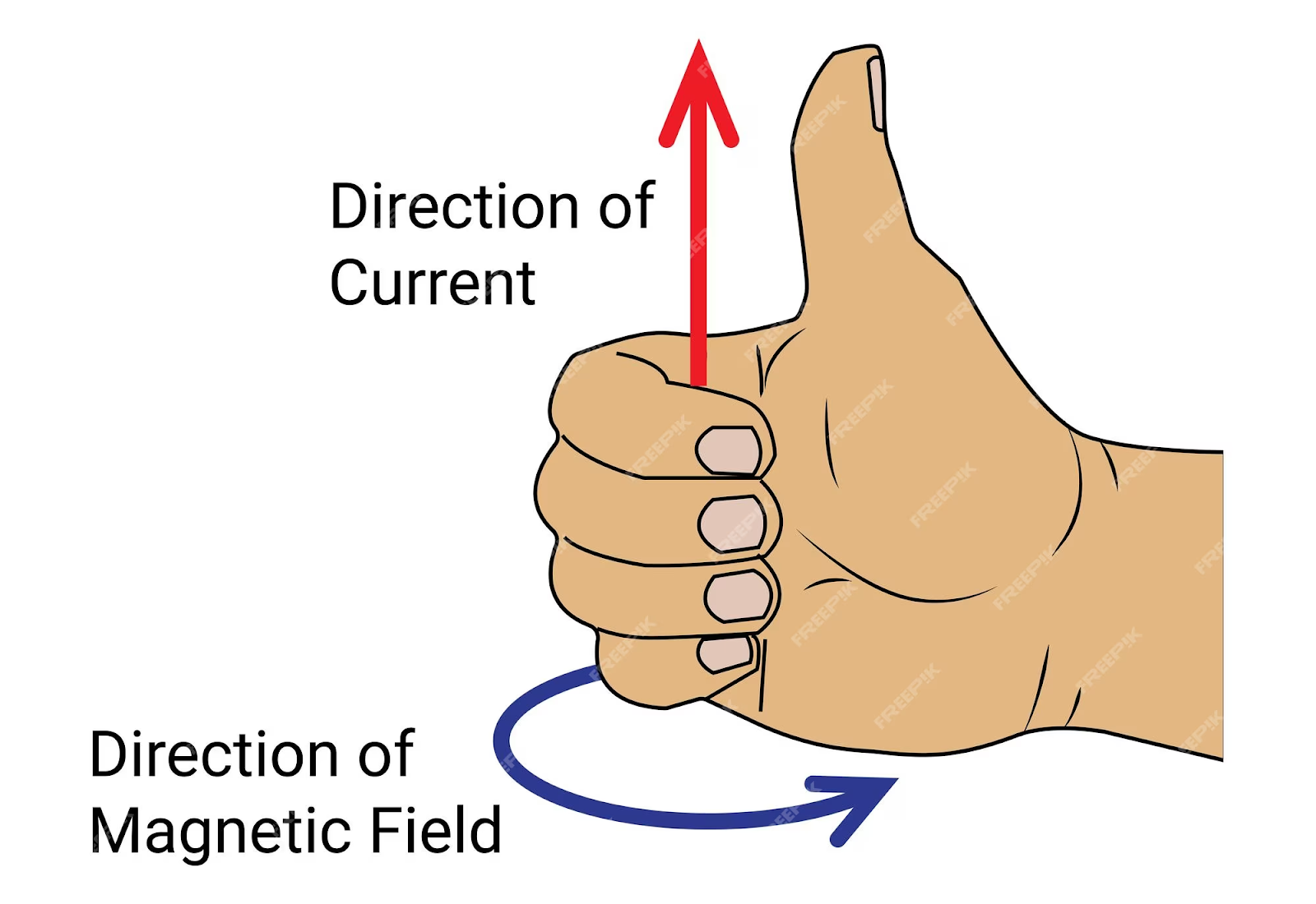 If you were to point in the direction of the current with your thumb, and then curl your hands, the direction in which your f