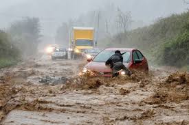 How do Rainfall Changes Affect Living Things