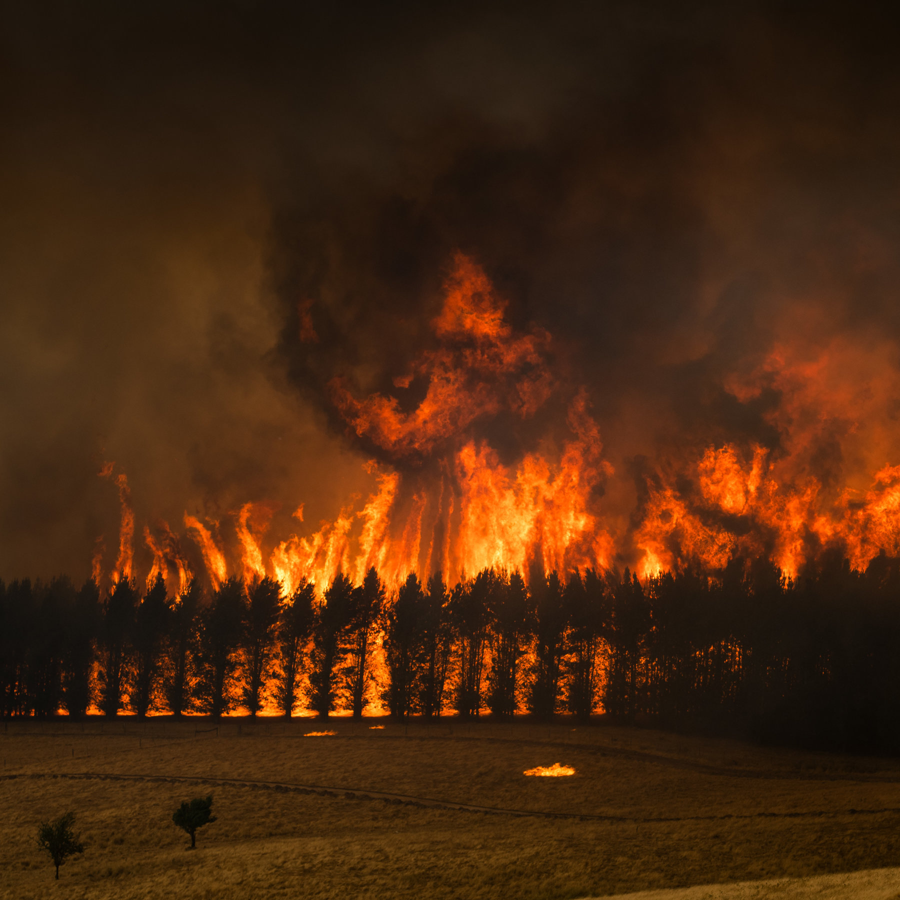Wildfires in Australia caused by global warming