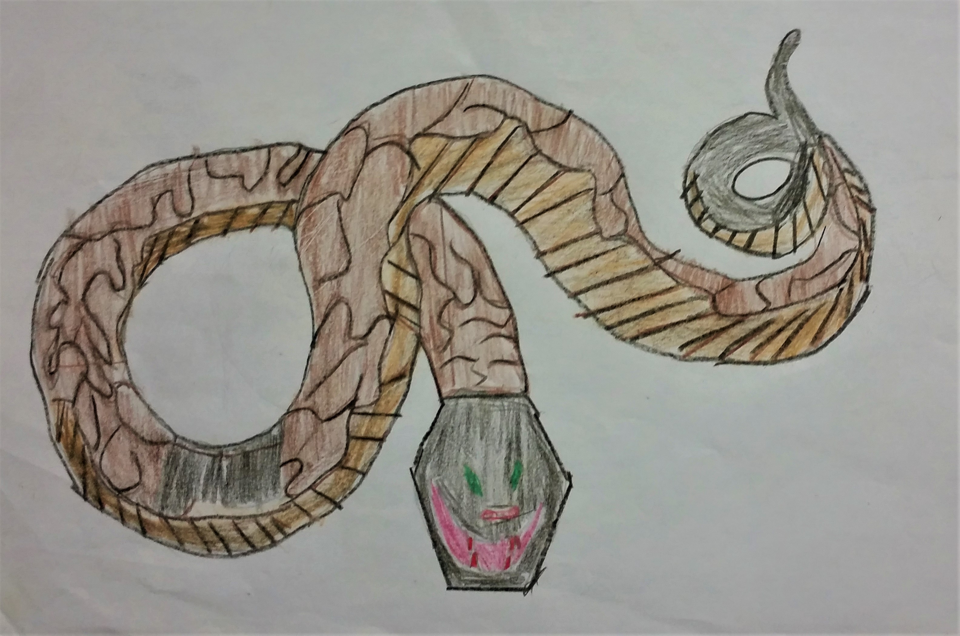 ANACONDA