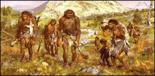 El homo erectus siendo nomadas