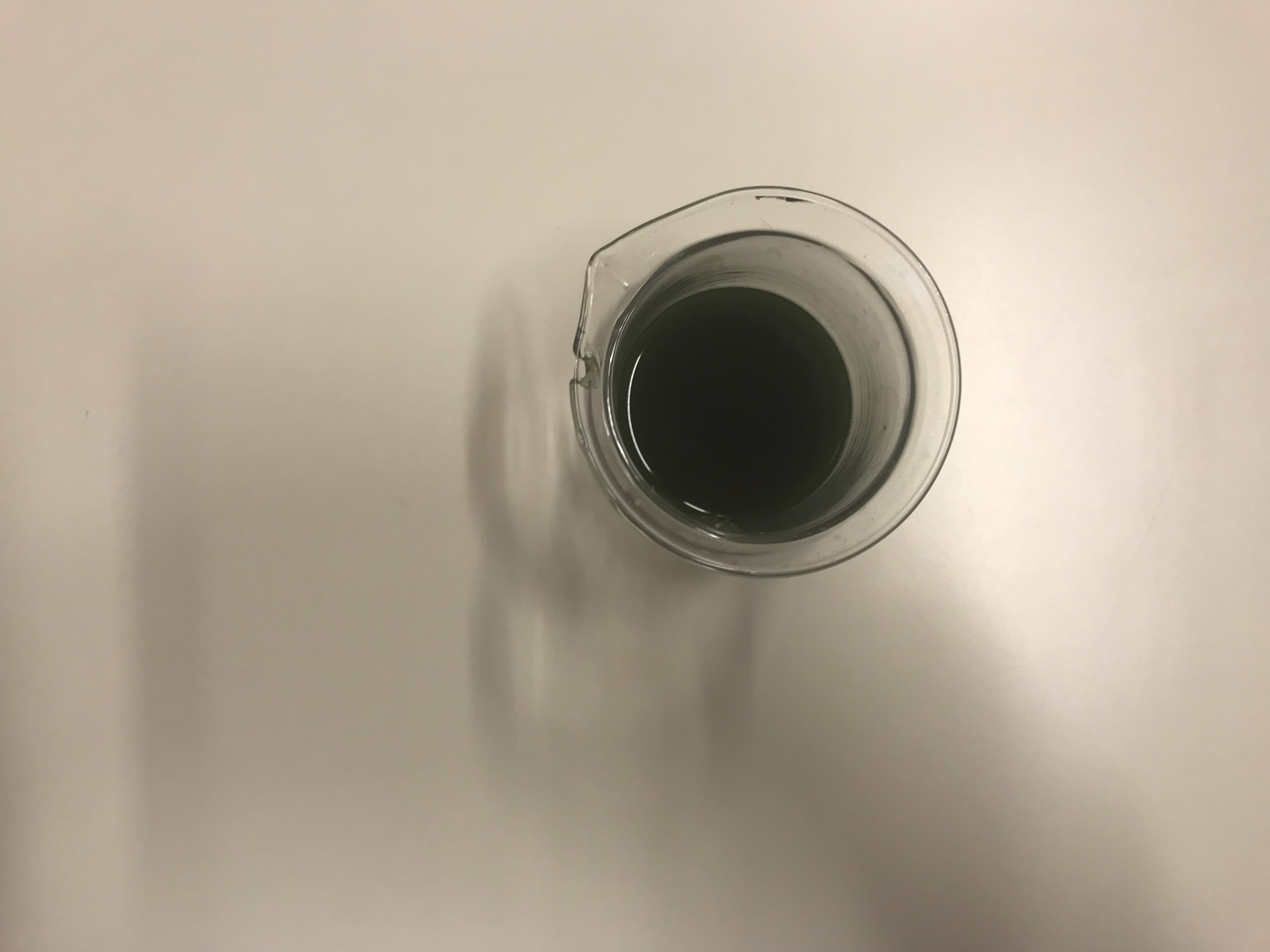 Immergiamo una striscia
di carta assorbente nel
liquido ottenuto