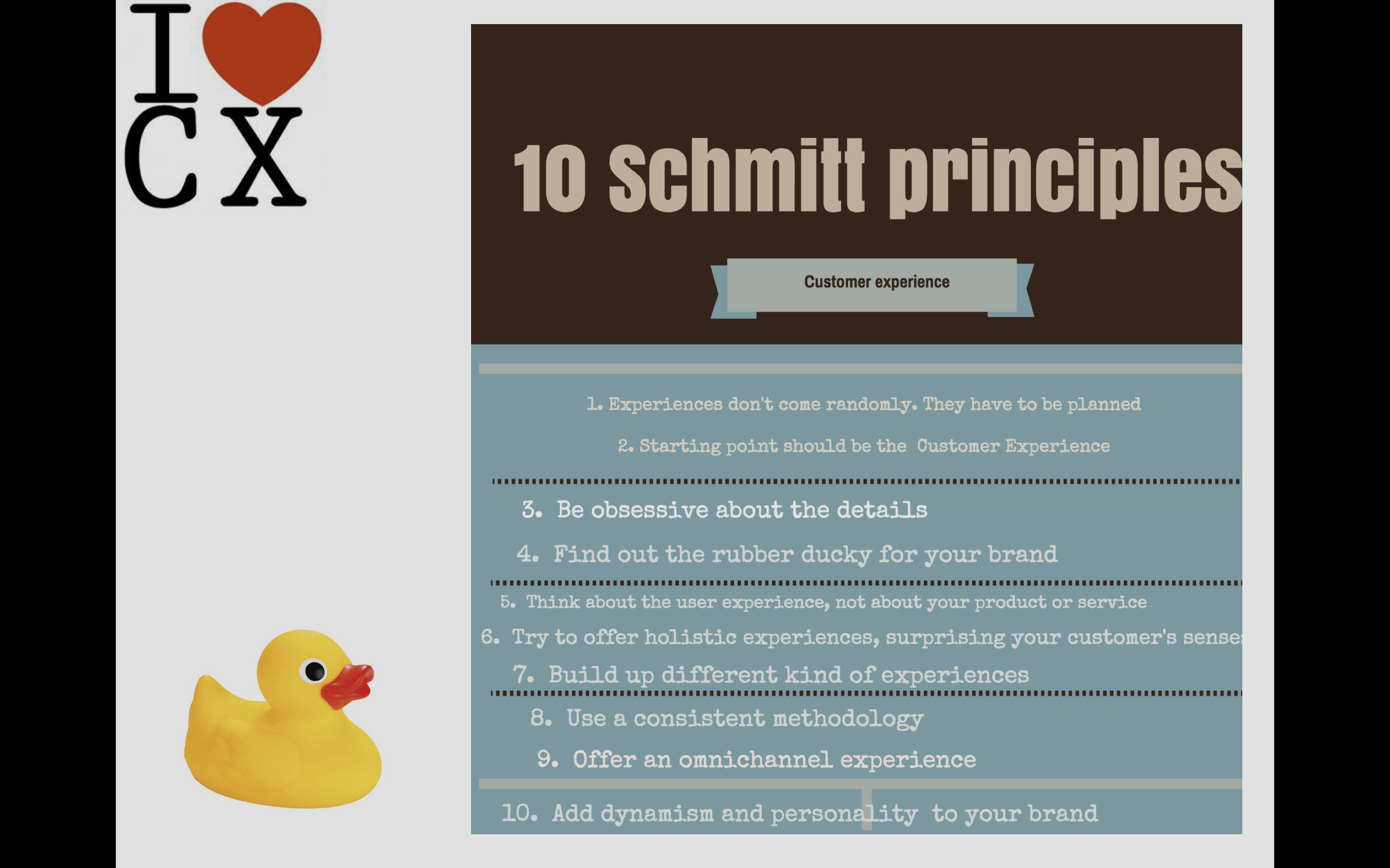 10 Principle of Schmitt