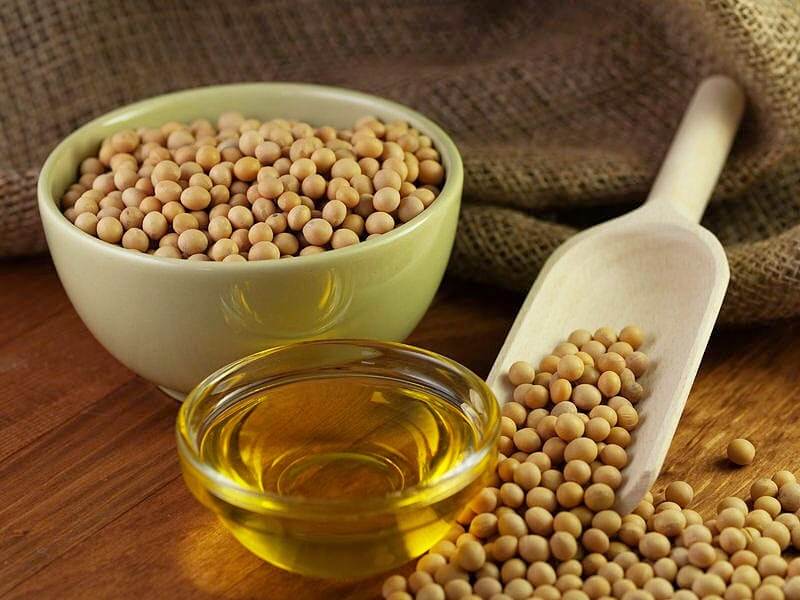 with the help of biotechnology, they produce genetically modified foods, such as golden rice, maize, potato and soybean that 