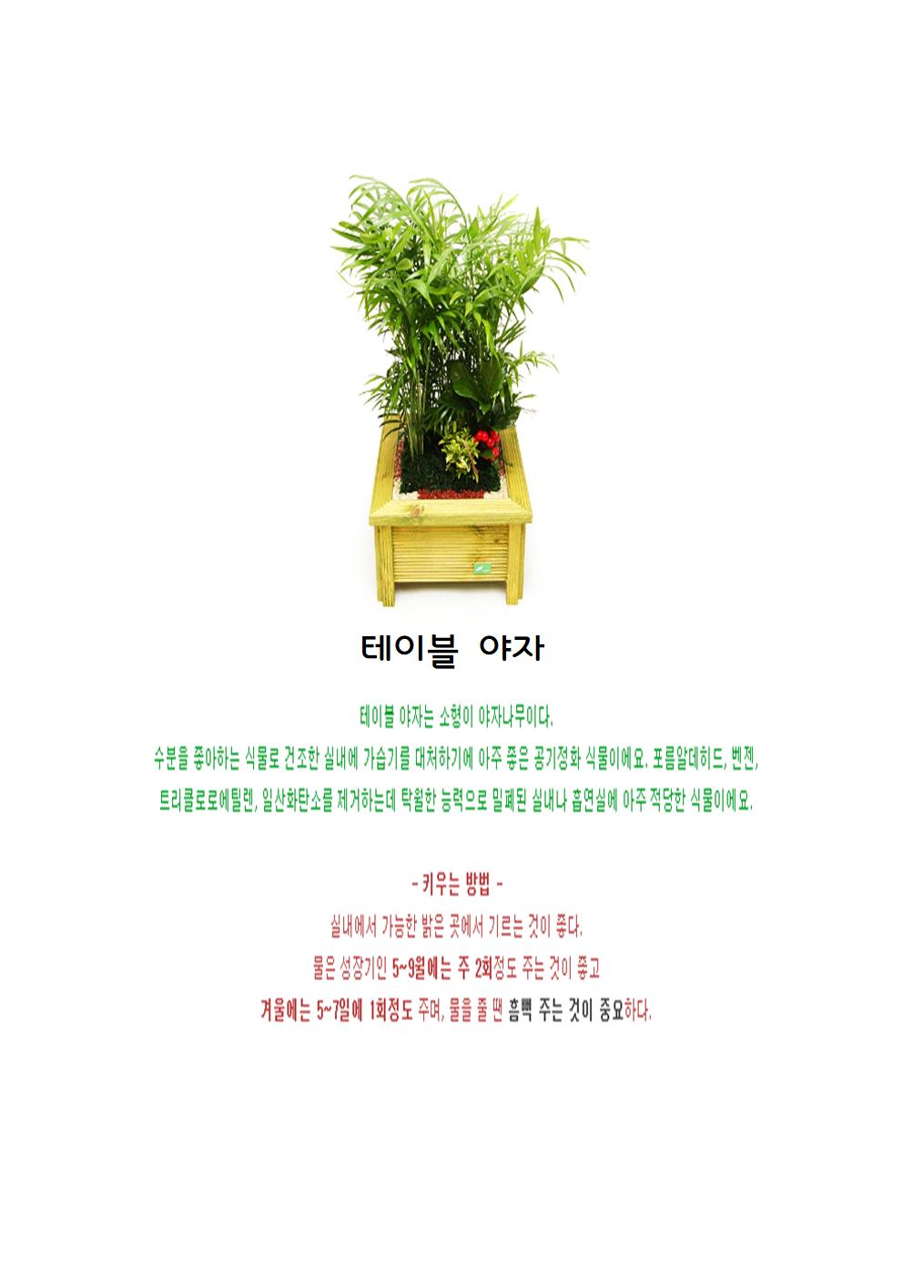 테이블야자